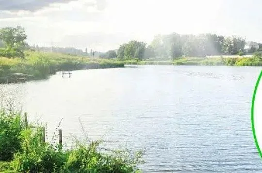 WaterPond — очистка водоёмов